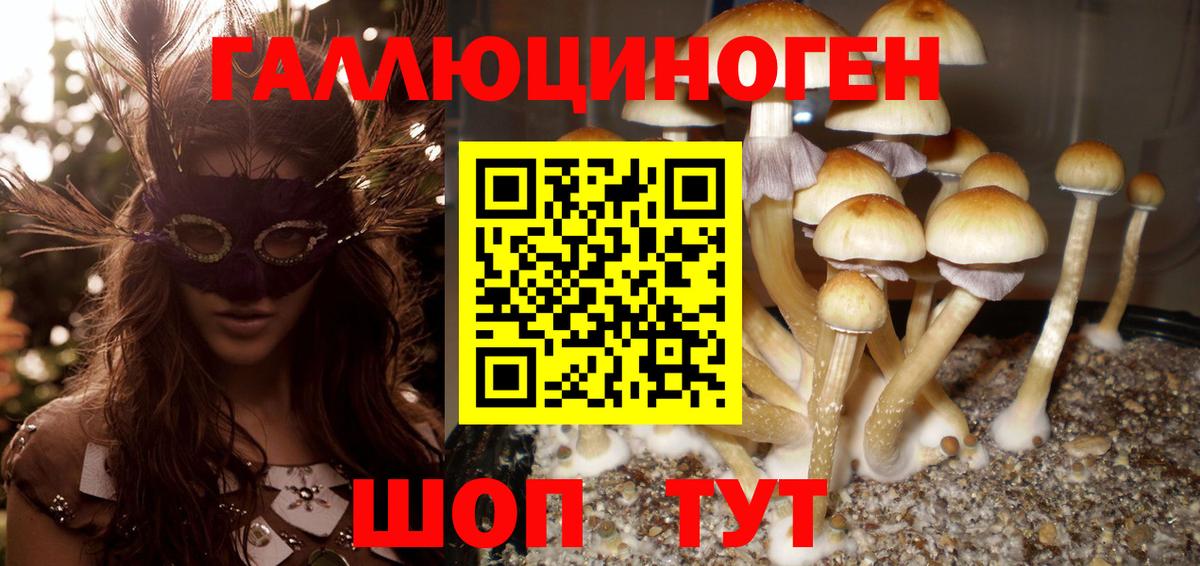 Галлюциногенные грибы Cubensis Бийск