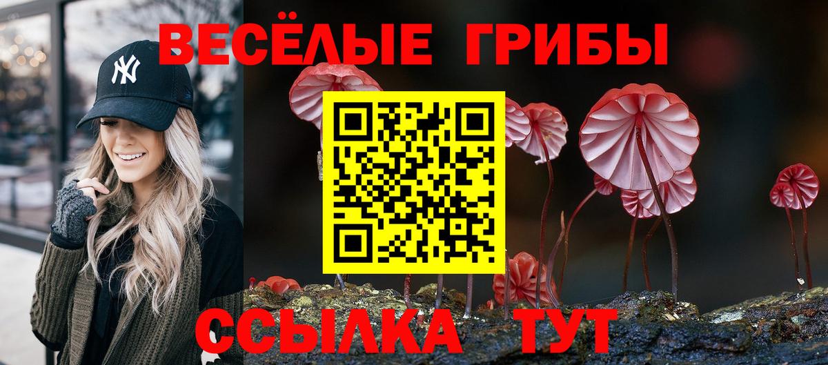 Псилоцибиновые грибы MAGIC MUSHROOMS  Псилоцибиновые грибы GOLDEN TEACHER  Бийск  Вход с VPN 